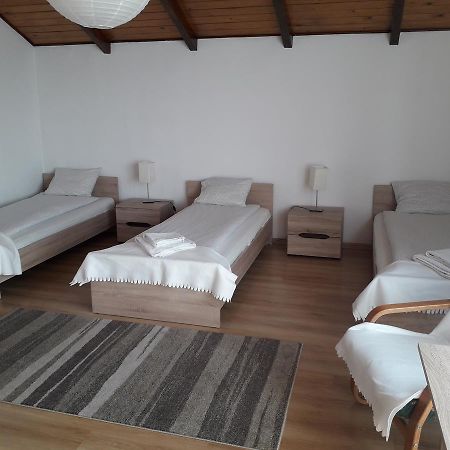 זאקרוצ'ים Villa Osa Modlin Airport מראה חיצוני תמונה