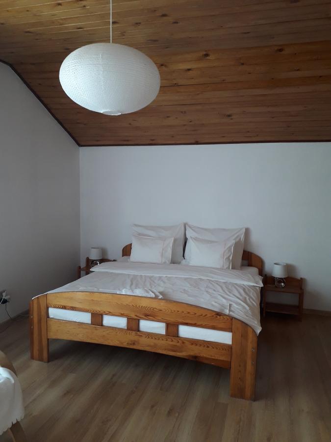 זאקרוצ'ים Villa Osa Modlin Airport מראה חיצוני תמונה